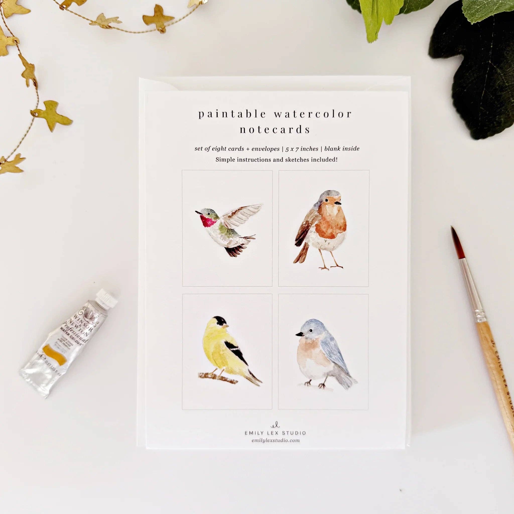 Watercolor: NOTECARD SETS