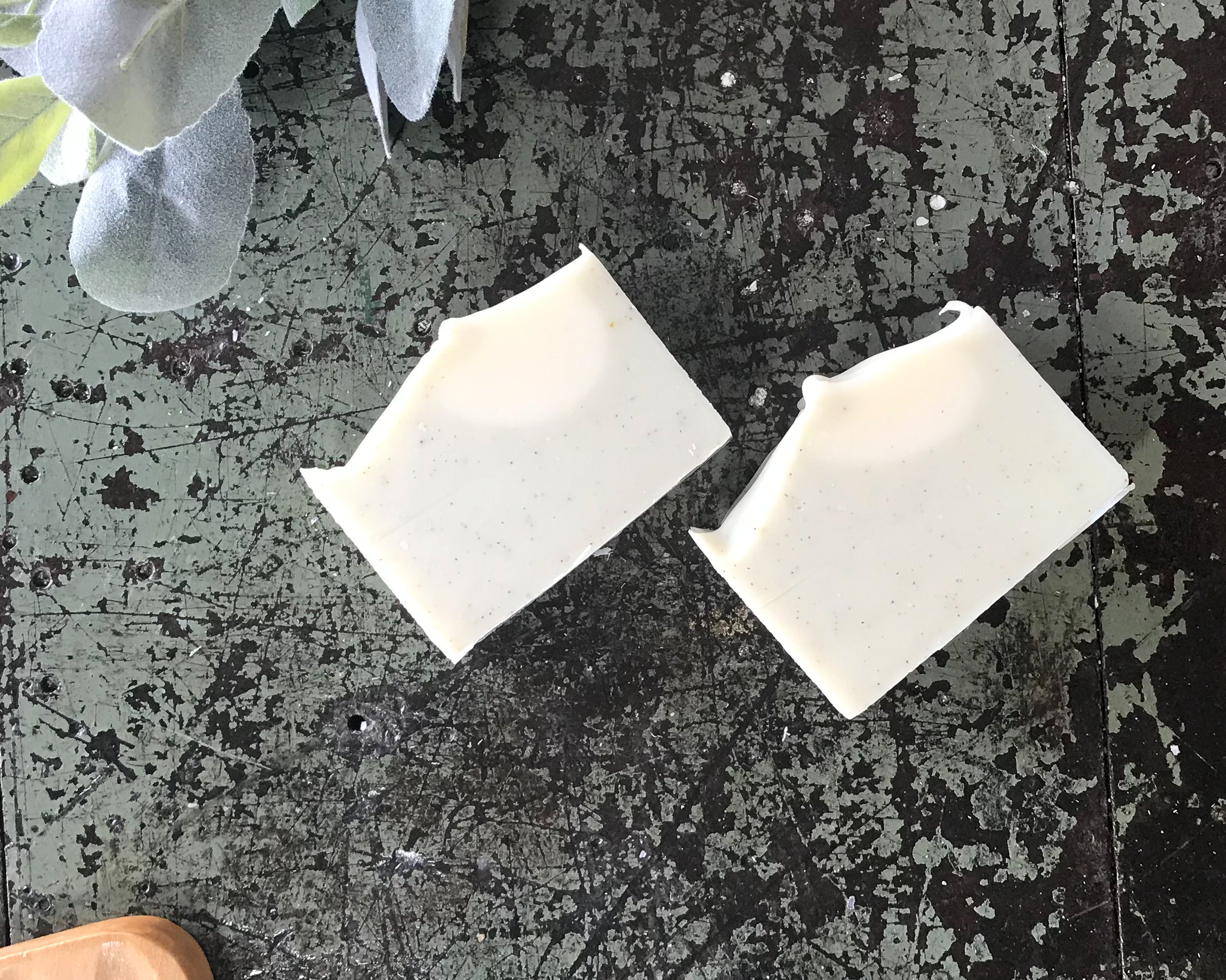 Rejuvenate - Sophie and Rose