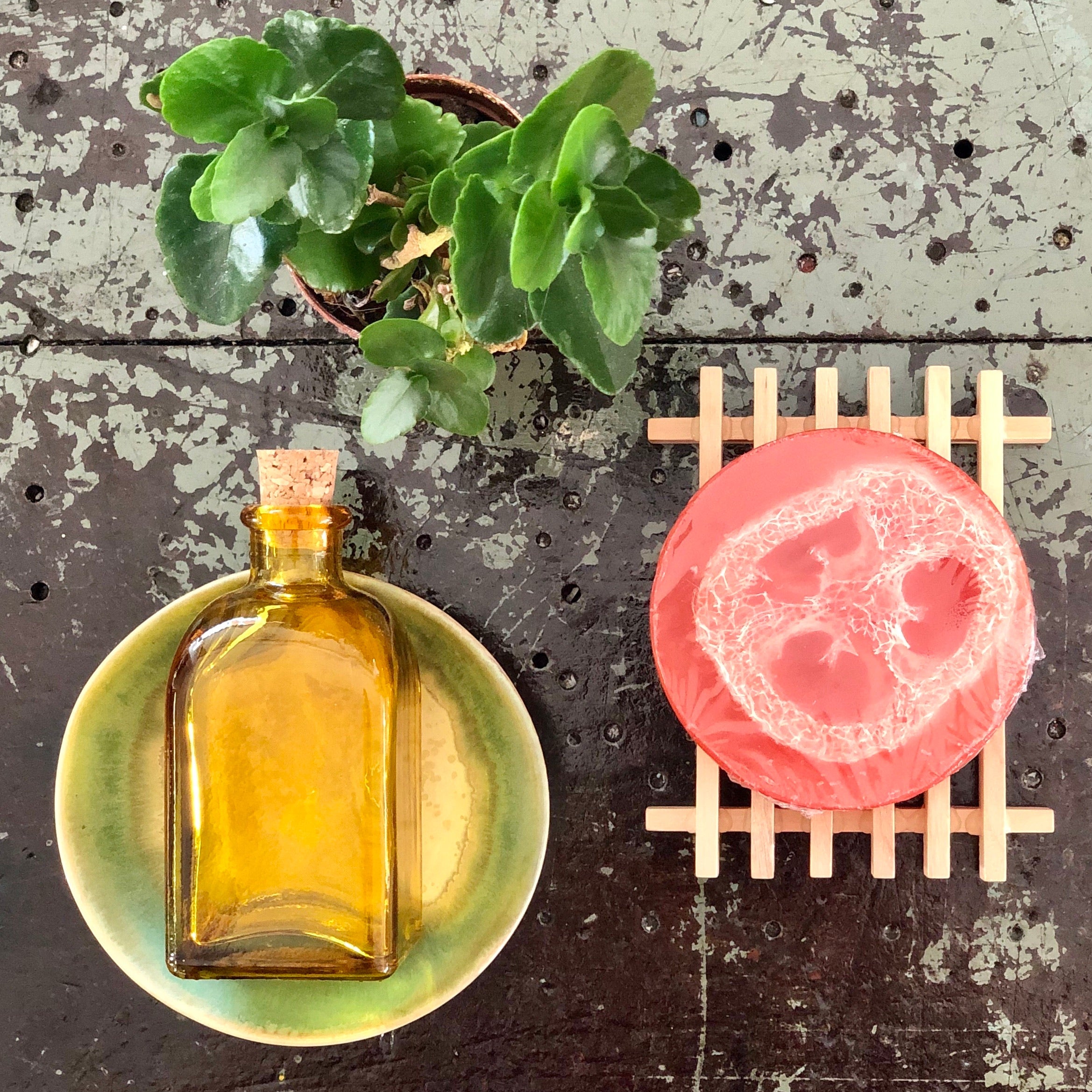 Boutique Soap ~ Loofah Soap - Sophie and Rose