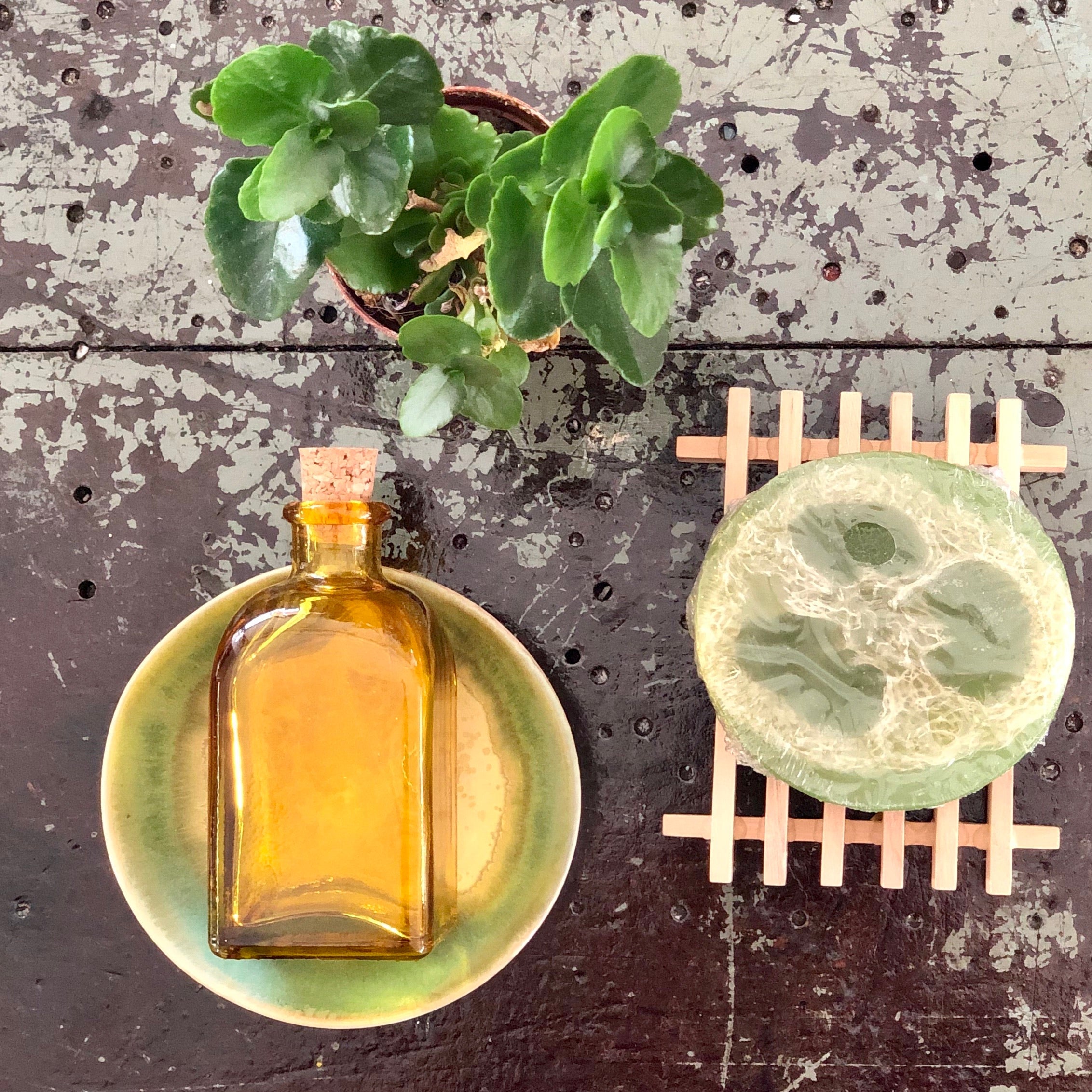 Boutique Soap ~ Loofah Soap - Sophie and Rose