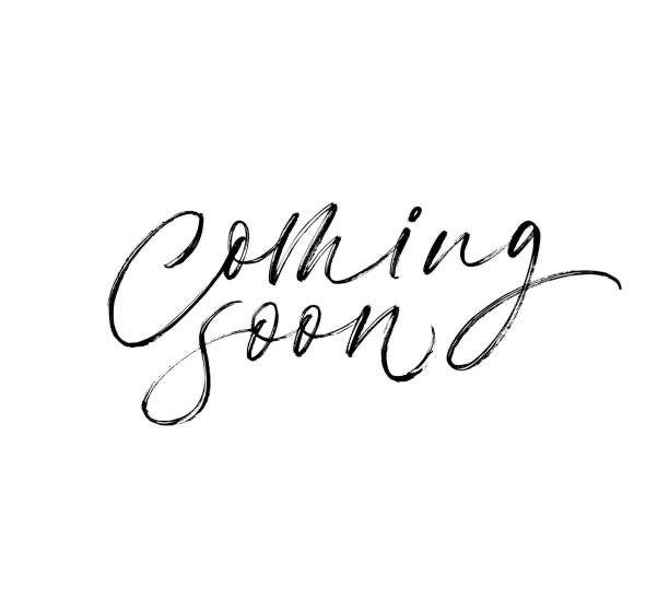 Boutique Soap ~ Loofah Soap - Sophie and Rose