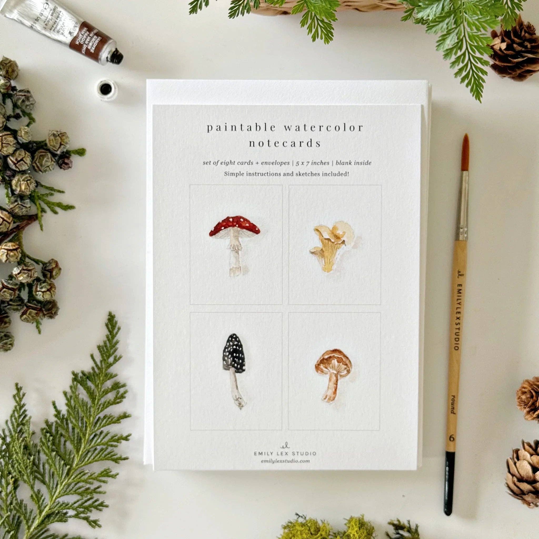 Watercolor: NOTECARD SETS